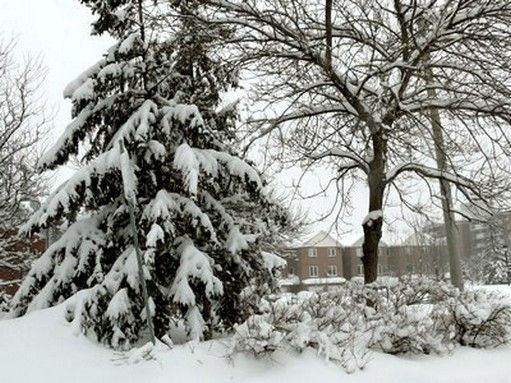 Neige à Ottawa