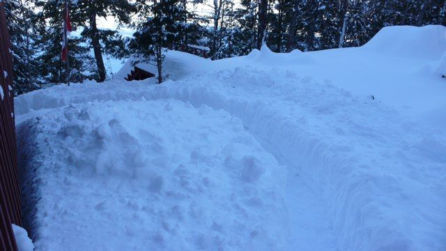 janvier au chalet