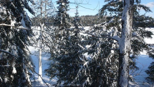 janvier au chalet