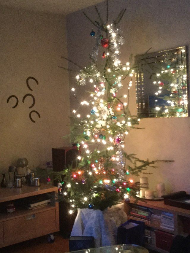 sapin de noel