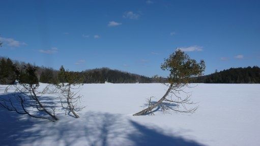 chalet 30 mars